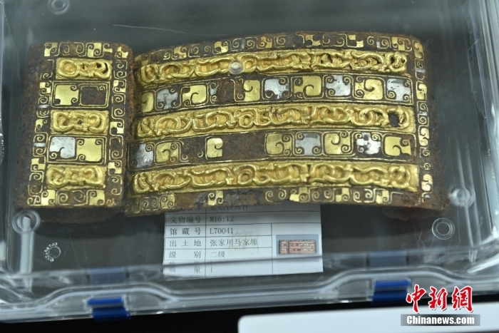 馬家塬西戎墓葬群發(fā)掘轉入室內考古階段