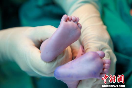 資料圖。簡(jiǎn)文楊 攝