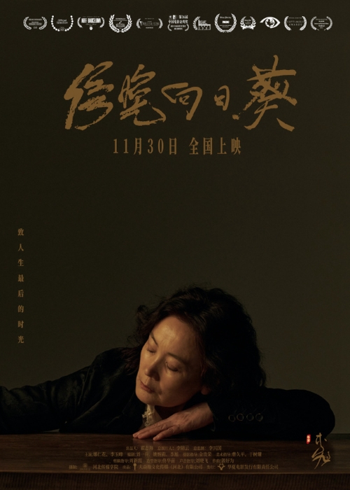 電影《傍晚向日葵》海報。