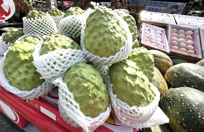 臺灣地區(qū)番荔枝(左)。(資料圖 來源：中時新聞網(wǎng))