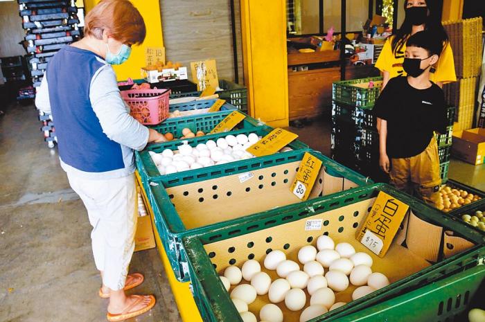 臺灣民眾在購買雞蛋。圖片來源：臺灣《中國時報》 莊哲權 攝