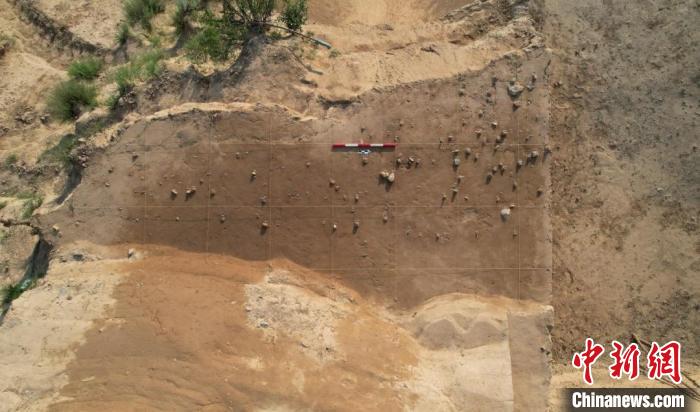 2023年陽(yáng)原新廟莊遺址考古一處發(fā)掘地點(diǎn)。(河北省文物考古研究院供圖).jpeg