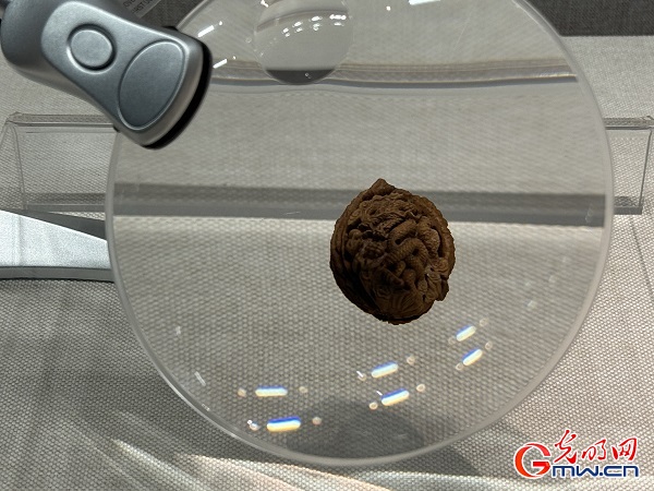 新春走基層｜春節(jié)里的博物館，“龍”味十足！