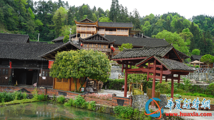 國茶村村景。（攝影：虞鷹）