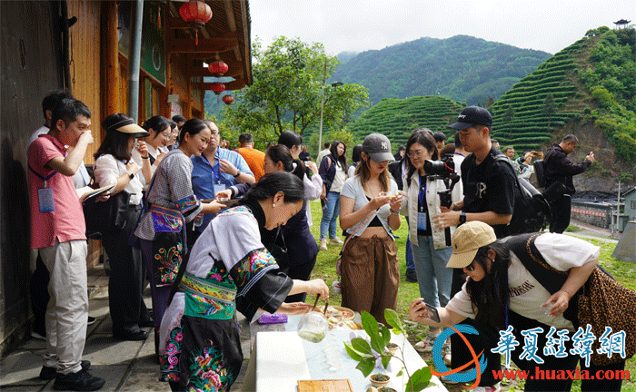 馬燕馬少梅姐妹向兩岸媒體人介紹黃金茶。（攝影：虞鷹）