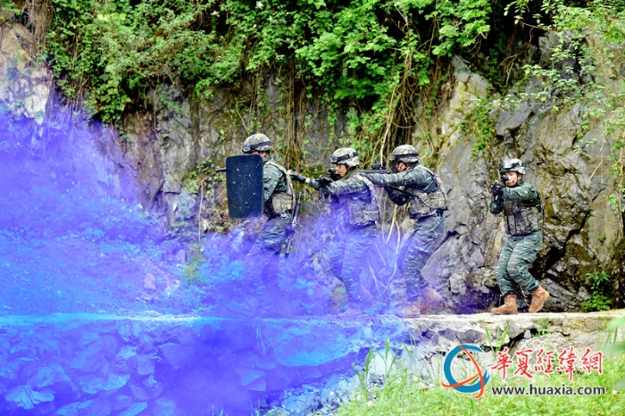 圖八：特戰(zhàn)隊(duì)員協(xié)同搜索前進(jìn)。王松青  攝_副本