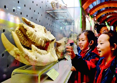 博物館研學(xué)，在行走的課堂中品讀世界