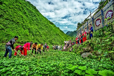 四川宣漢：薅草鑼鼓賀陽(yáng)春