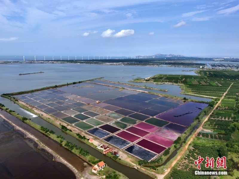 8月7日，山東省榮成市港西鎮(zhèn)朝陽港的一處鹽田在藍(lán)天白云的映襯下呈現(xiàn)出色彩斑斕、絢麗多彩的獨(dú)特景觀，成為海邊的一道靚麗風(fēng)景。