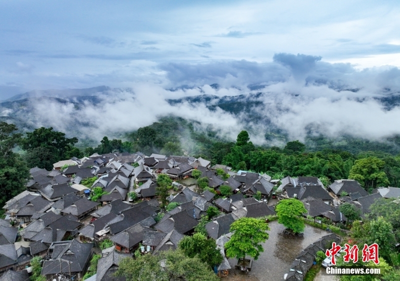 （聚焦中國高質量發(fā)展）普洱景邁山古茶林文化景觀