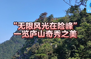 “無(wú)限風(fēng)光在險(xiǎn)峰” 一覽廬山奇秀之美