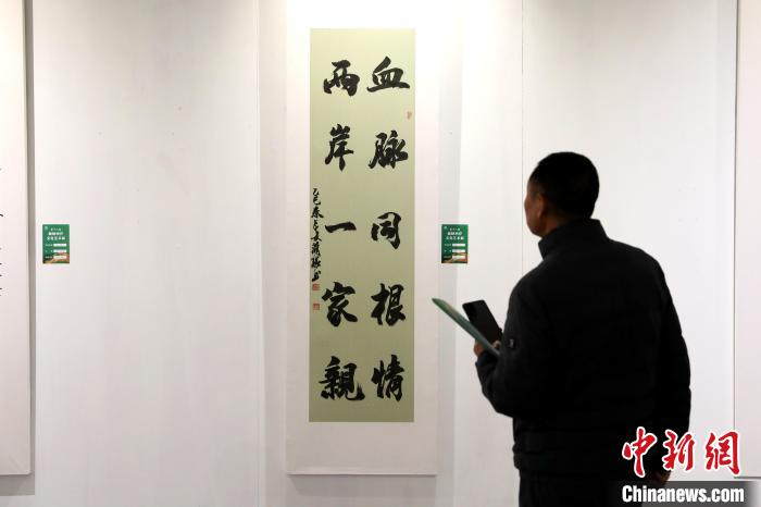 4月2日，第十八屆海峽兩岸文化藝術(shù)展在陜西西安啟幕。圖為市民參觀書法作品。　中新社記者 張遠(yuǎn) 攝