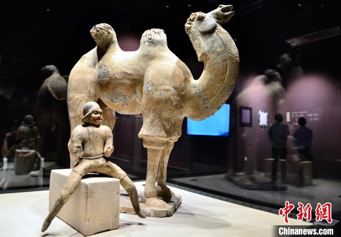 福州：“大唐金鄉(xiāng)縣主展”讓民眾領(lǐng)略大唐風華